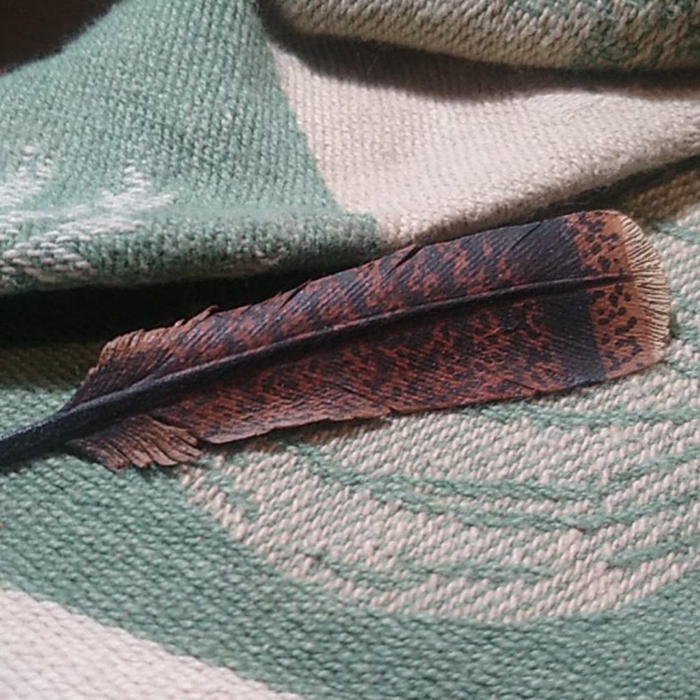 Indian feather pin